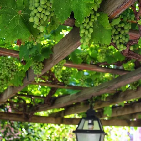 Appartement Lizaelle Gardens *