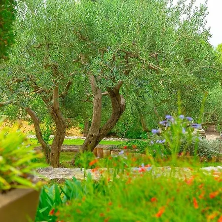 Daire Lizaelle Gardens Dubrovnik