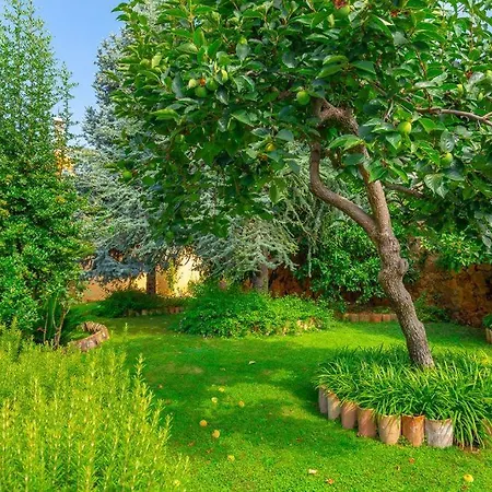 Lizaelle Gardens * دوبروفينك